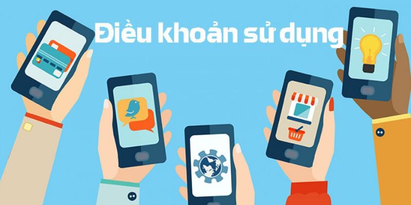Điều khoản sử dụng cấm hành vi gian lận