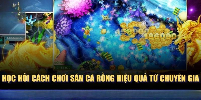 Kinh nghiệm săn ngư rồng bách chiến bách thắng