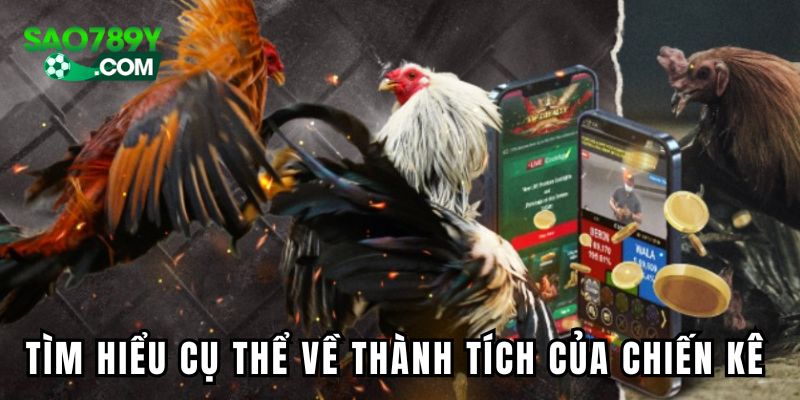 Cần tìm hiểu cụ thể về thành tích của chiến kê thi đấu